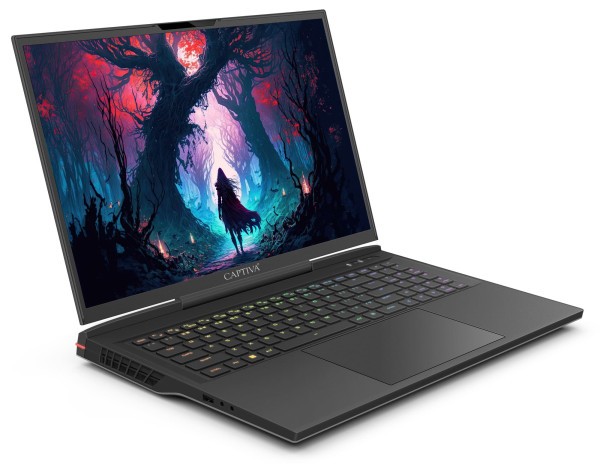 Captiva Notebook Highend Gaming I81-490 i9-14900HX (17.3", 32GB, 4TB SSD, GeForce RTX4070 8GB, Win 11 Home)