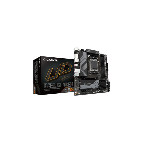 B-Gigabyte GA-B650M-DS3H (AM5) (D)