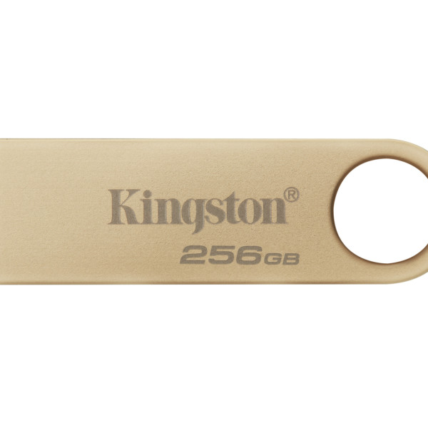 USB Stick 256GB Kingston DataTraveler SE9 G3 USB 3.2 DTSE9G3/256GB